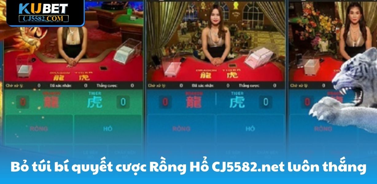 CJ5582